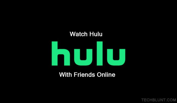 Watch Hulu with friends online